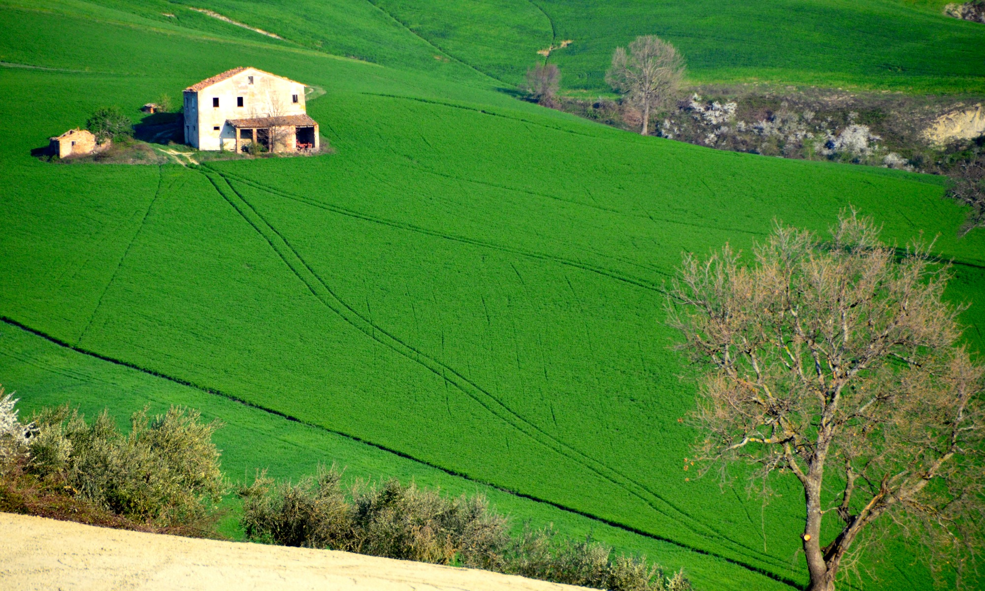 ジーノ・ジロロモーニ農業協同組合