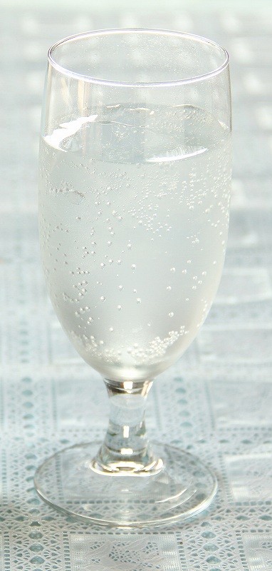 創健社 丹沢サイダー 250ml