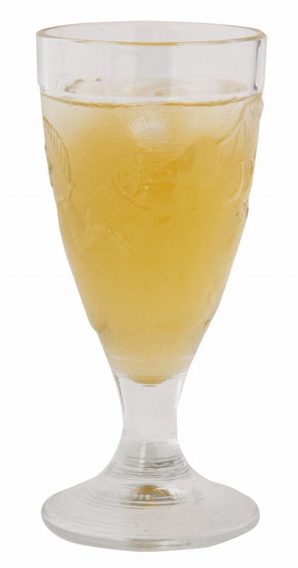 ジャフマック 醗酵カムカム（飲料） 565ml