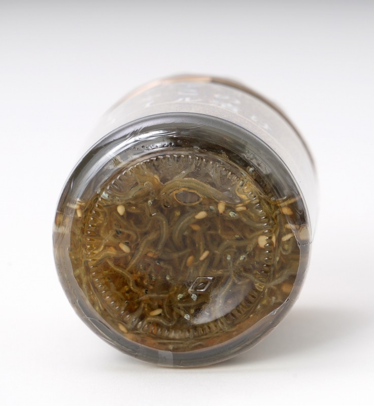 ＩＳフーズ あんちょび入り　じゃこのオイル漬け 80g