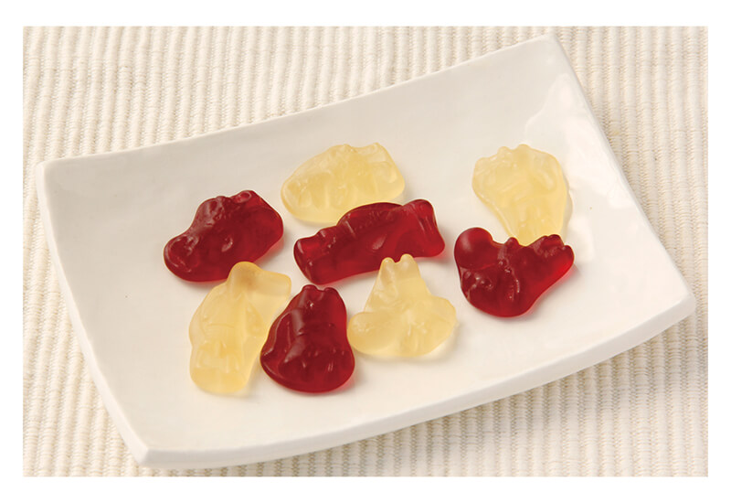 創健社 メイシーちゃん（ＴＭ）のおきにいり　アップルとグレープのグミ 8粒