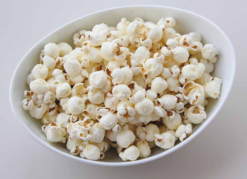 創健社 メイシーちゃん（ＴＭ）のおきにいり　しおあじのポップコーン 30g