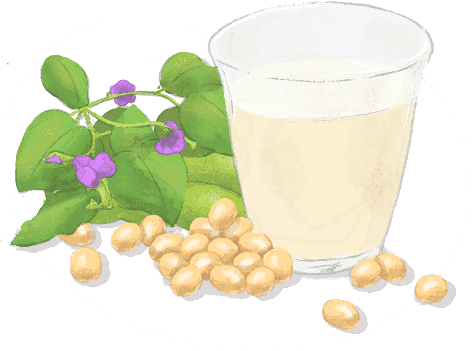 こだわり1 植物由来の乳酸菌で発酵させた国産大豆の豆乳を使用