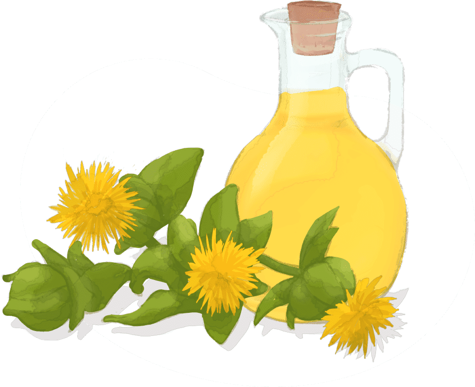 こだわり3 高オレイン酸タイプのべに花油を使用