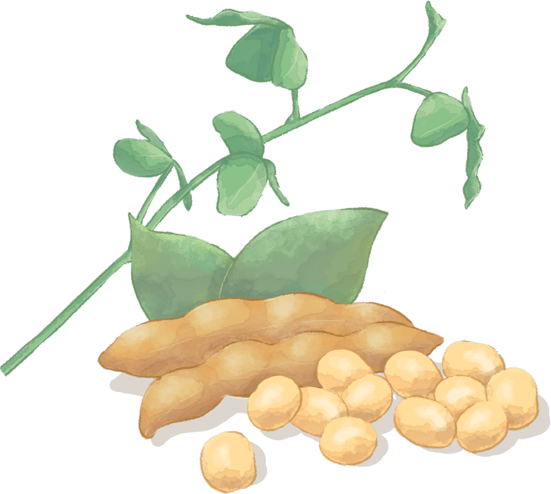 発酵豆乳入りマーガリン