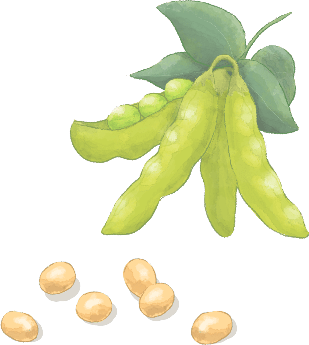 発酵豆乳入りマーガリン